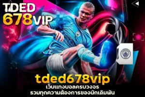 tded678vip เว็บแทงบอลครบวงจร รวมทุกความต้องการของนักเดิมพัน